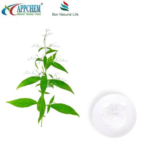 Andrographis Paniculata Extract Andrographolide