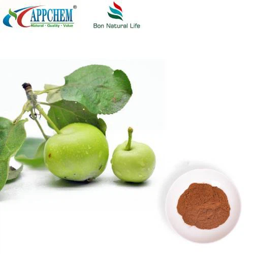 Apple Polyphenols Powder UV70% πατενταρισμένο προϊόν