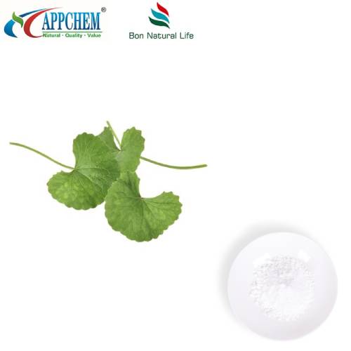 Εκχύλισμα σε σκόνη Centella Asiatica