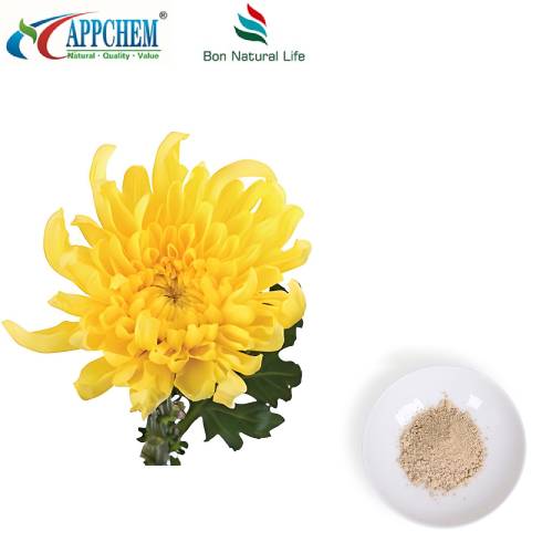 Σκόνη εκχυλίσματος Flos Chrysanthemi