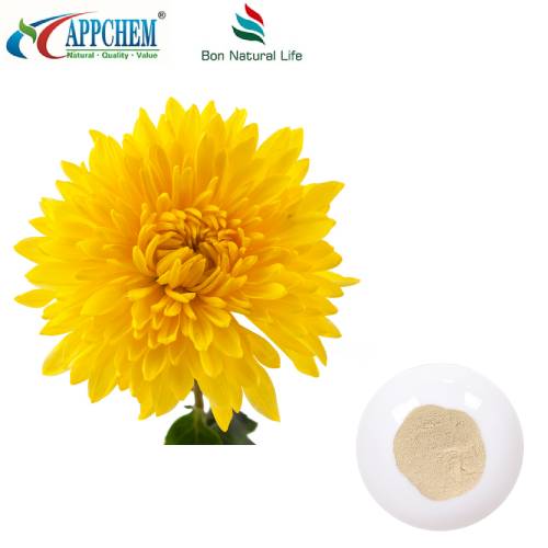 Εκχύλισμα Flos Chrysanthemi