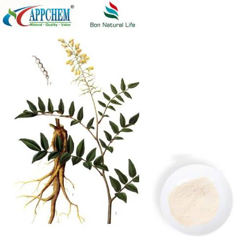 Σκόνη Genistein