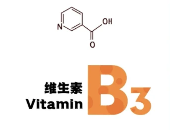 B3