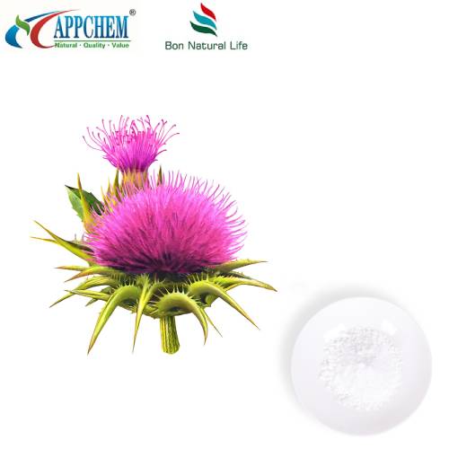 Εκχύλισμα Silybin Milk Thistle