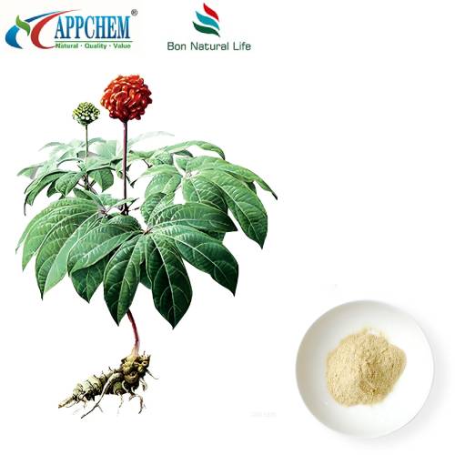 Εκχύλισμα Notoginseng Radix Et Rhizoma