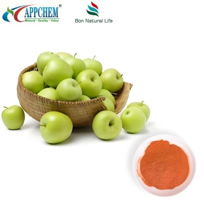 Polyphenols Apple Powder