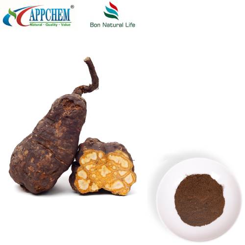 Polygoni Multiflori Preparata Extract Powder