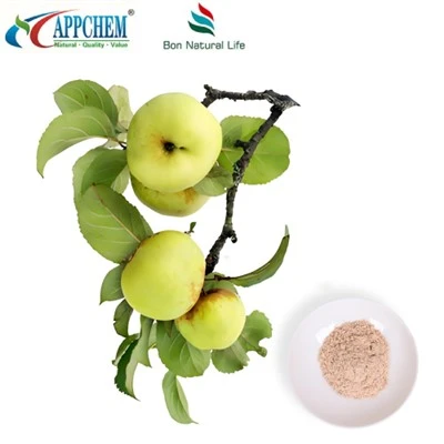 Εκχύλισμα Apple Phlorizin Factory δείγμα