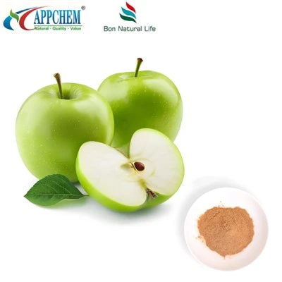Εκχύλισμα Apple Procyanidin B2 HPLC Test 29106-49-8