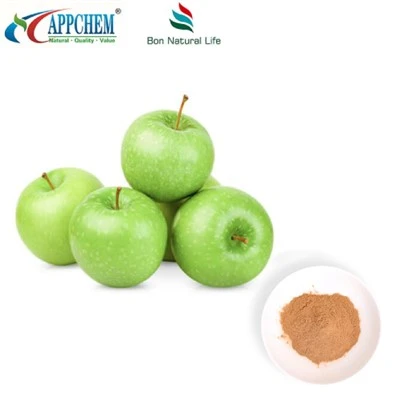 Εκχύλισμα Apple Procyanidin B2 Powder Διαθέσιμο