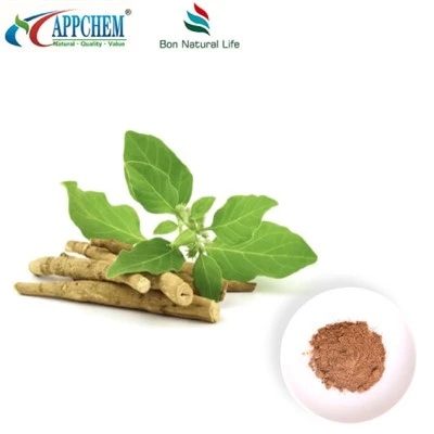 Εκχύλισμα εκχυλίσματος Ashwagandha (Withanolides) Κατασκευή 30655-48-2