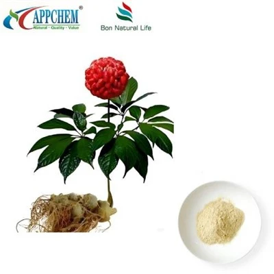 Εκχύλισμα ρίζας Notoginseng