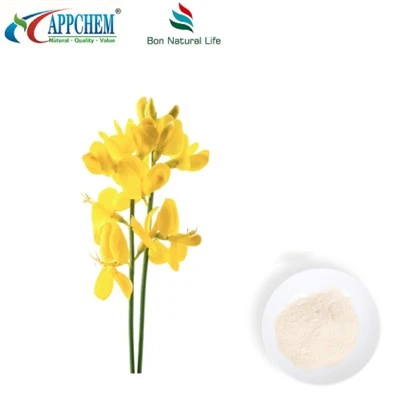 Thermopsis lanceolata R.BR εκχύλισμα. Κυτταρισίνη HPLC98% σκόνη 485-35-8